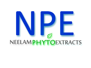 Logo Design by Pixel Pix