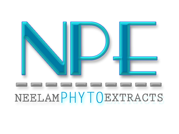 Logo-Design von Pixel Pix für dieses Projekt | Design #623704