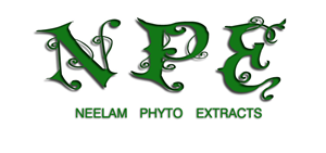 Logo Design by FlorL for this project | Design: #670404