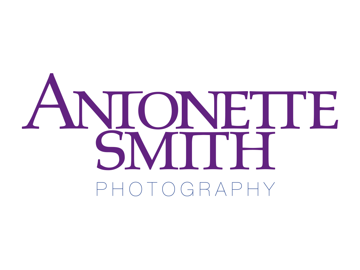 Logo Design by kari 2 for this project | Design #2721393