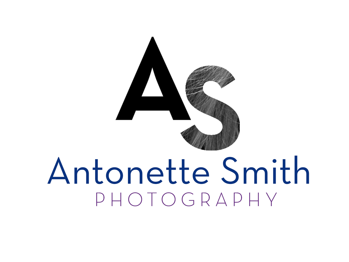 Logo Design by kari 2 for this project | Design #2729784