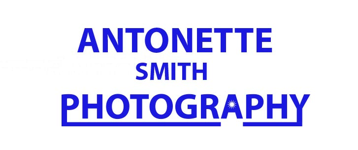 Logo Design by hahenson for this project | Design #2689659