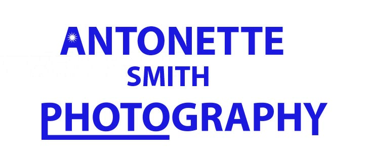 Logo Design by hahenson for this project | Design #2689661