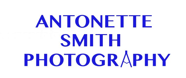 Logo Design by hahenson for this project | Design #2689703