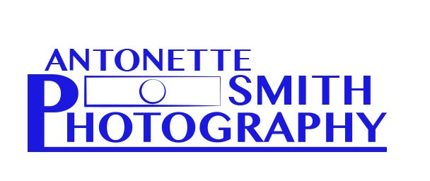 Logo Design by hahenson for this project | Design #2689772