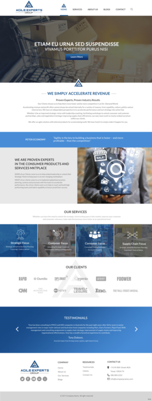 Web Design by pb for Agile Experts Group | Design: #17038900