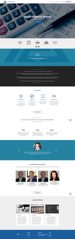 Agile Experts Group boutique mgt consulting group 5 page web design | Web Design by insert name here