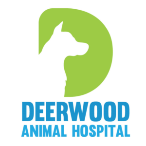 Logo Design by Jessica T