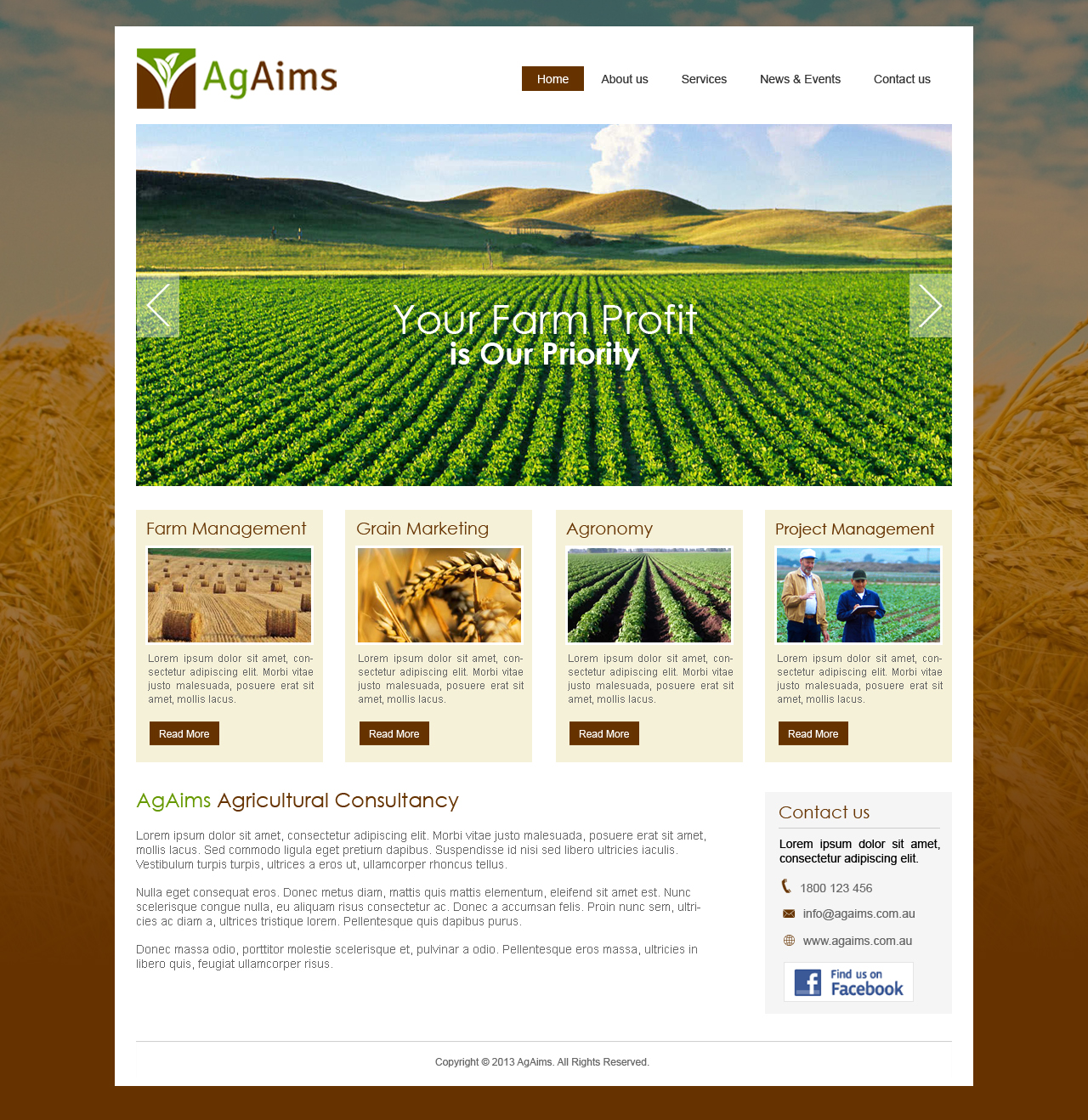Web Design by Mind Capture Studio for Petcare Extraordinaire | Design #2698735