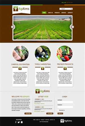 Web Design by Bright Star for Petcare Extraordinaire | Design: #2698151