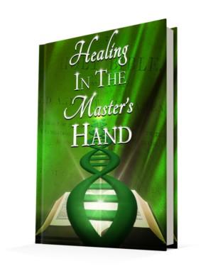 Book Cover Design by sormaz.tanja for Willa P's Publishing | Design: #17251974