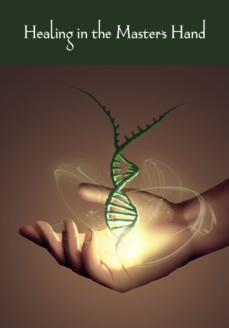 Design de Couverture de Livre par Thomas Bl pour Willa P's Publishing | Design #17307101