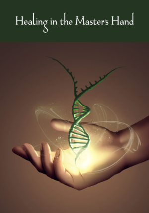 Diseño de portada de libro por Thomas Bl para Willa P's Publishing | Diseño: #17307101