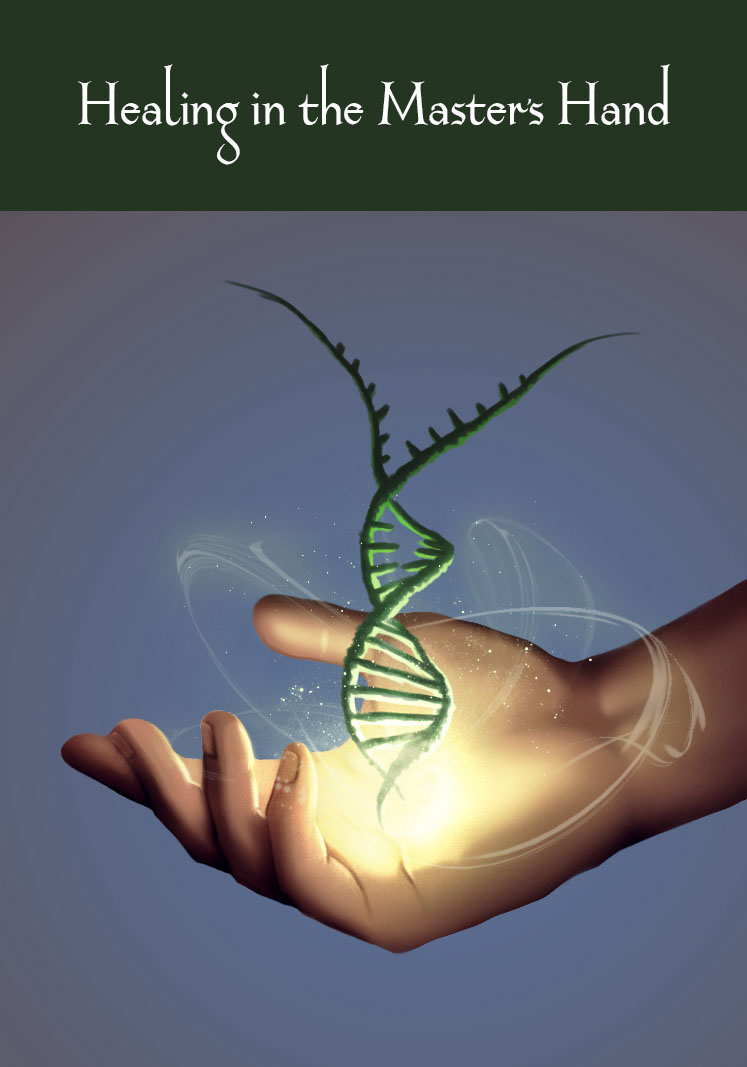 Design de Couverture de Livre par Thomas Bl pour Willa P's Publishing | Design #17307102