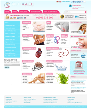 Web Design by ShreejiAkshar for this project | Design: #673539