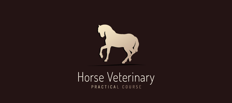 Logo Design by Deli for this project | Design #2708423