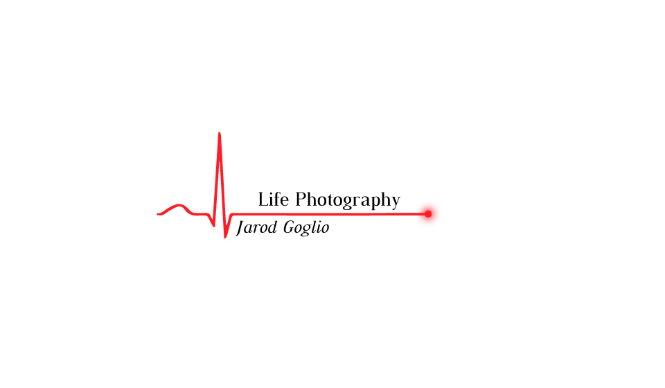 Logo Design by Chedoy for Life Photography | Design #17047578