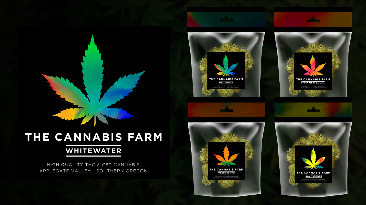 Packaging Design by John Paul Dionisio for this project | Design #17079669