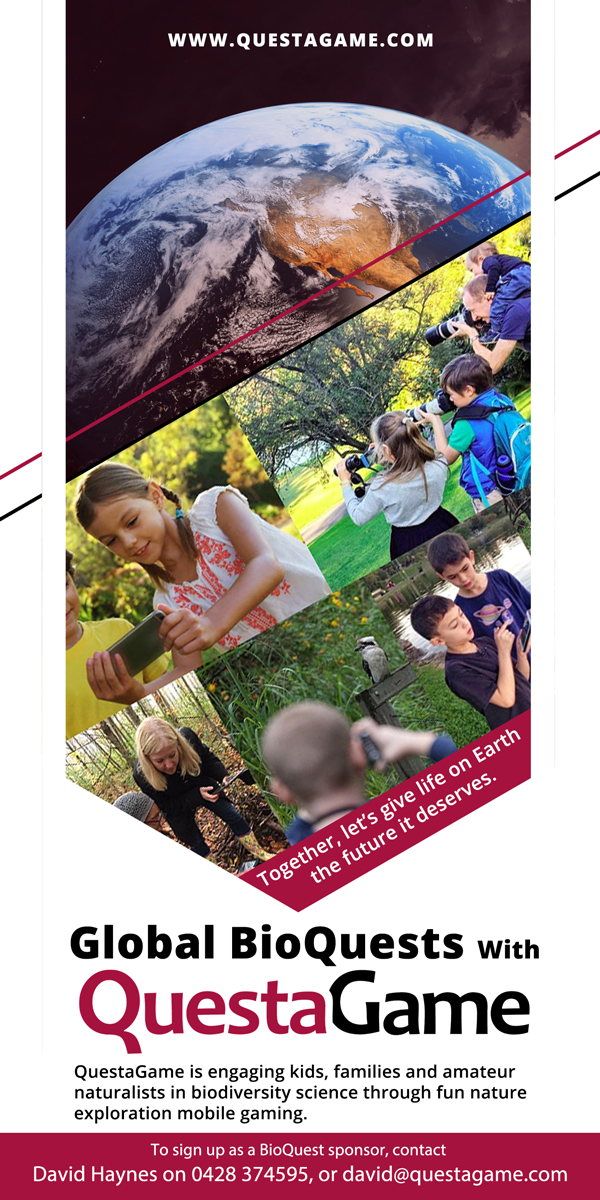 Flyer Design by Riz' for this project | Design #17075348