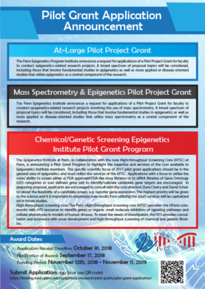 Annoucement Design for Pilot Grants | Flyer Design by DesignerGuide