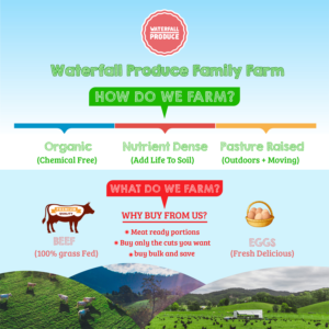 Design de Flyer par Expert Designer pour ce projet | Design : #17059477