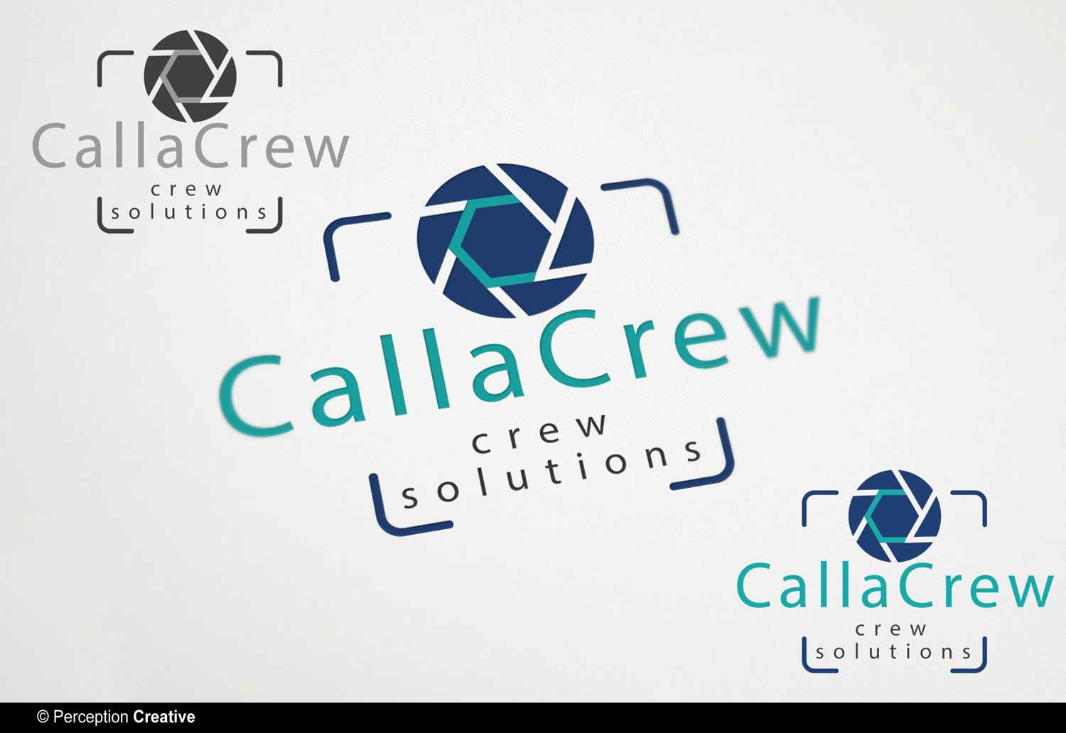 Logo Design by Perception Creative for this project | Design #17062232