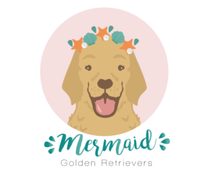 Logo Design by ACJP