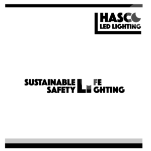 Logo Design by Artur Zherdetskii for Hasco Lighting | Design #17073405