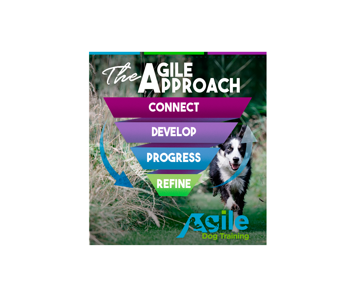 Graphic Design by MissJo Designs for this project | Design #17082102