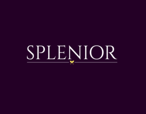 Logo Design by BLUR designs