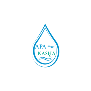 Logo Design by Costea Dan for PayHub Solutions | Design: #17088983