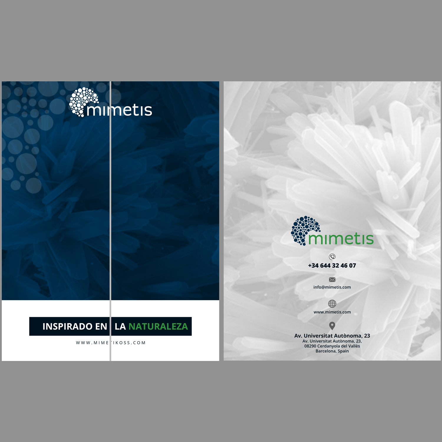 Design de Flyer par debdesign pour Mimetis Biomaterials | Design #17113902