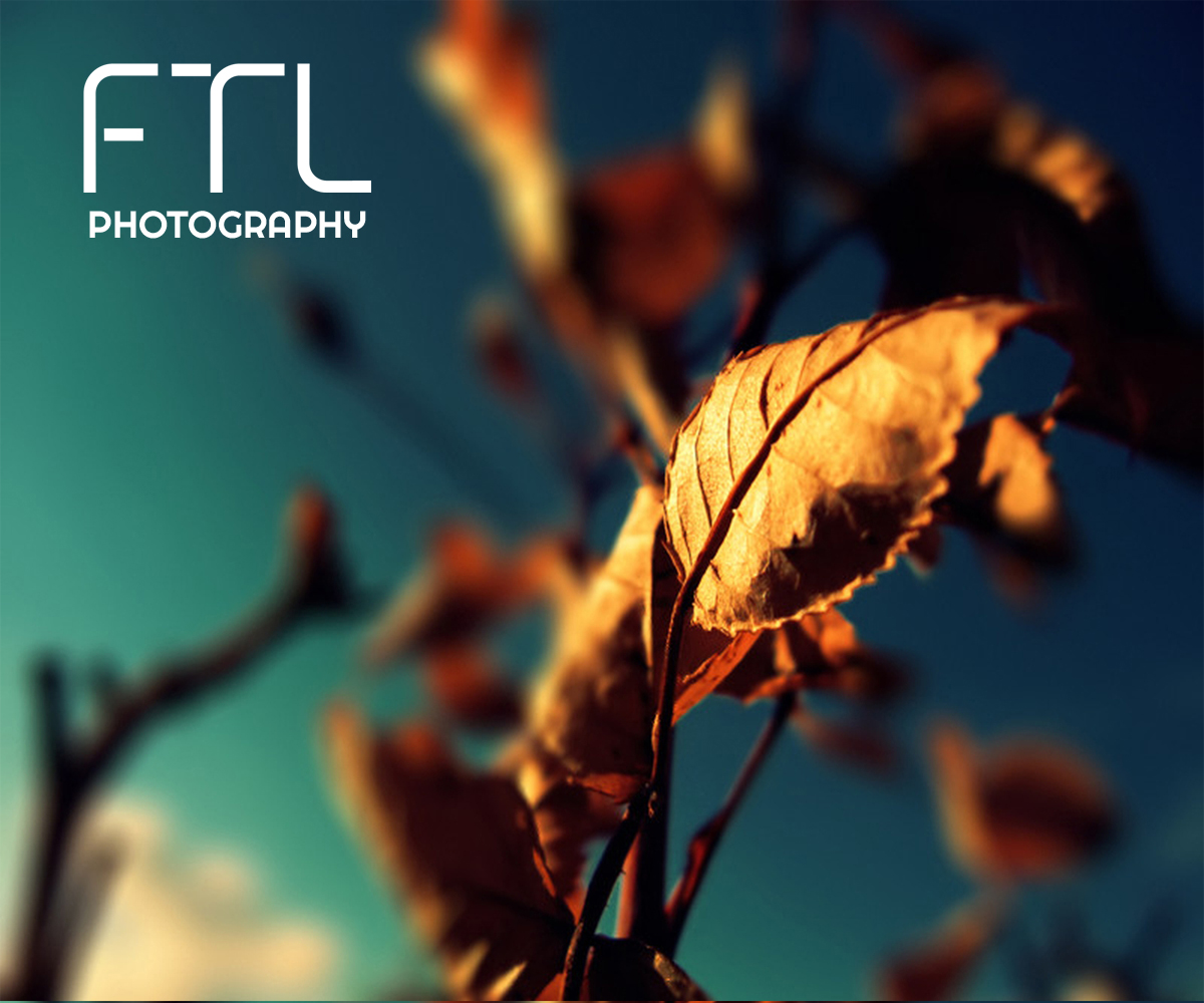 Design de Logo par Shank pour FTL Photography | Design #2723556