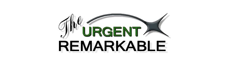 Logo Design by Jabiroo Designs for this project | Design #627472