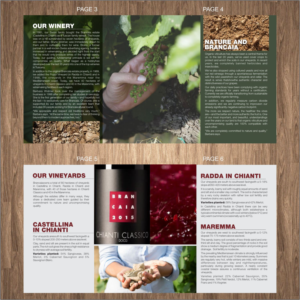 Brochure Design by mdnegi