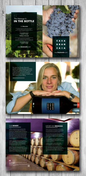 Brochure Design by ecorokerz