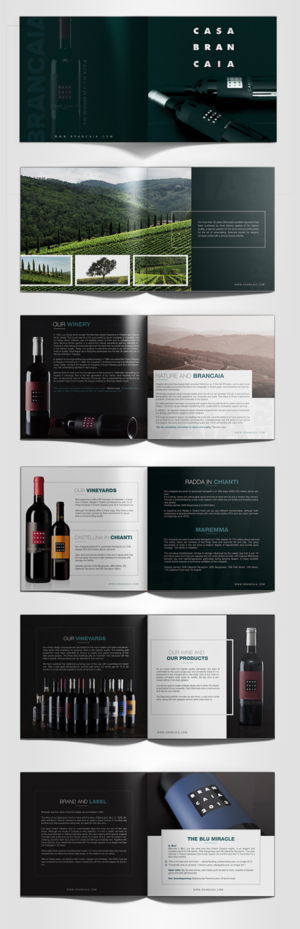 Brochure Design by SAI DESIGNS