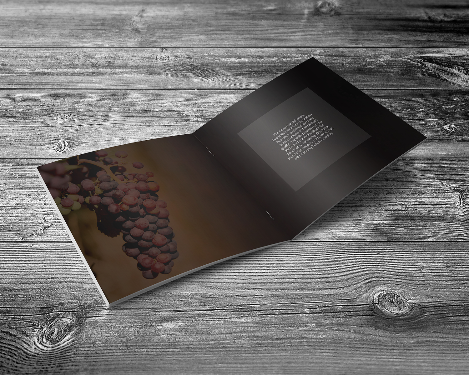 Brochure Design by banedsgn for Brancaia s.a.r.l. | Design #17138043
