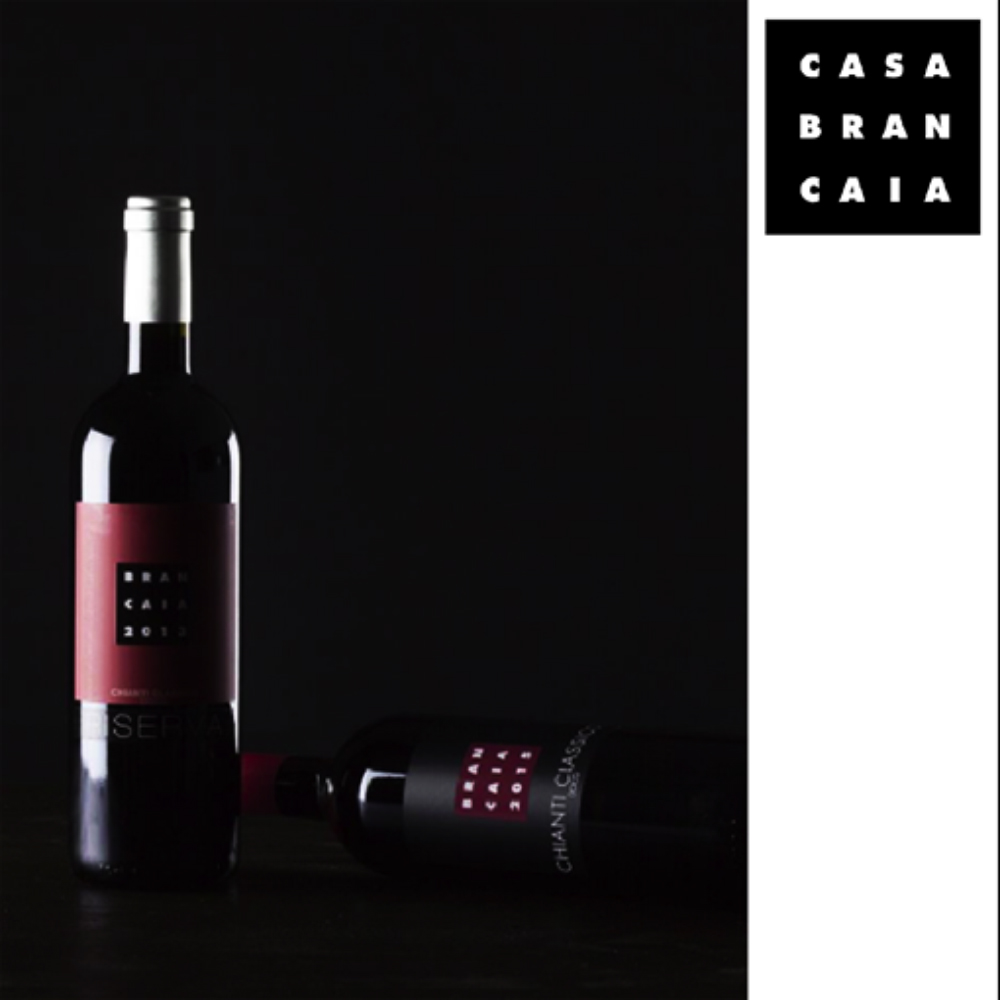Brochure Design by Yore Artist for Brancaia s.a.r.l. | Design #17283963