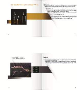 Brochure Design by bojana_kuc34