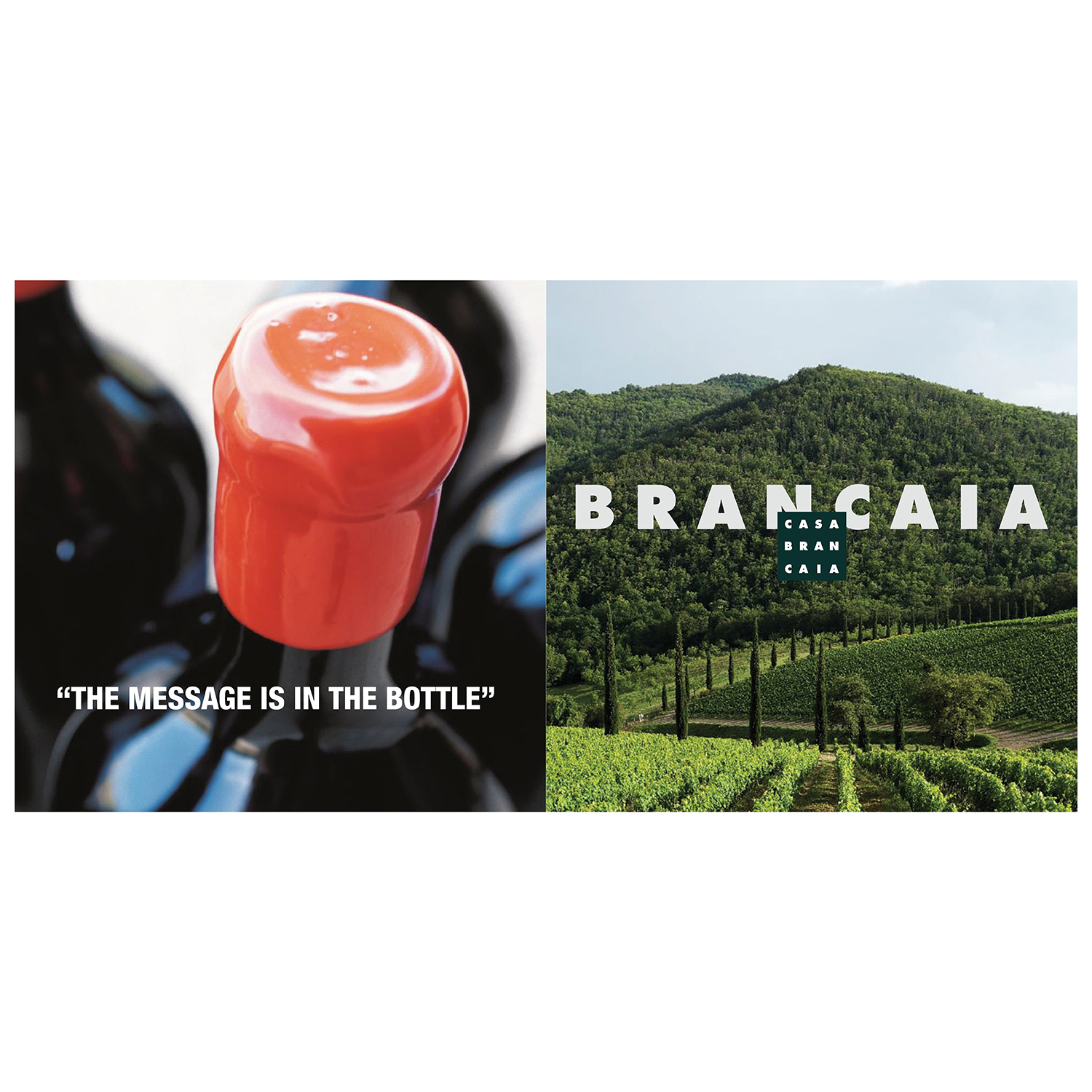 Brochure Design by Skybluedesignstudio for Brancaia s.a.r.l. | Design #17185678