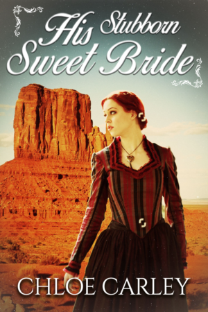 eBook Cover Design by Estratosphera for this project | Design: #17128333