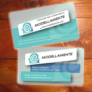 Business Card Design by visual arts