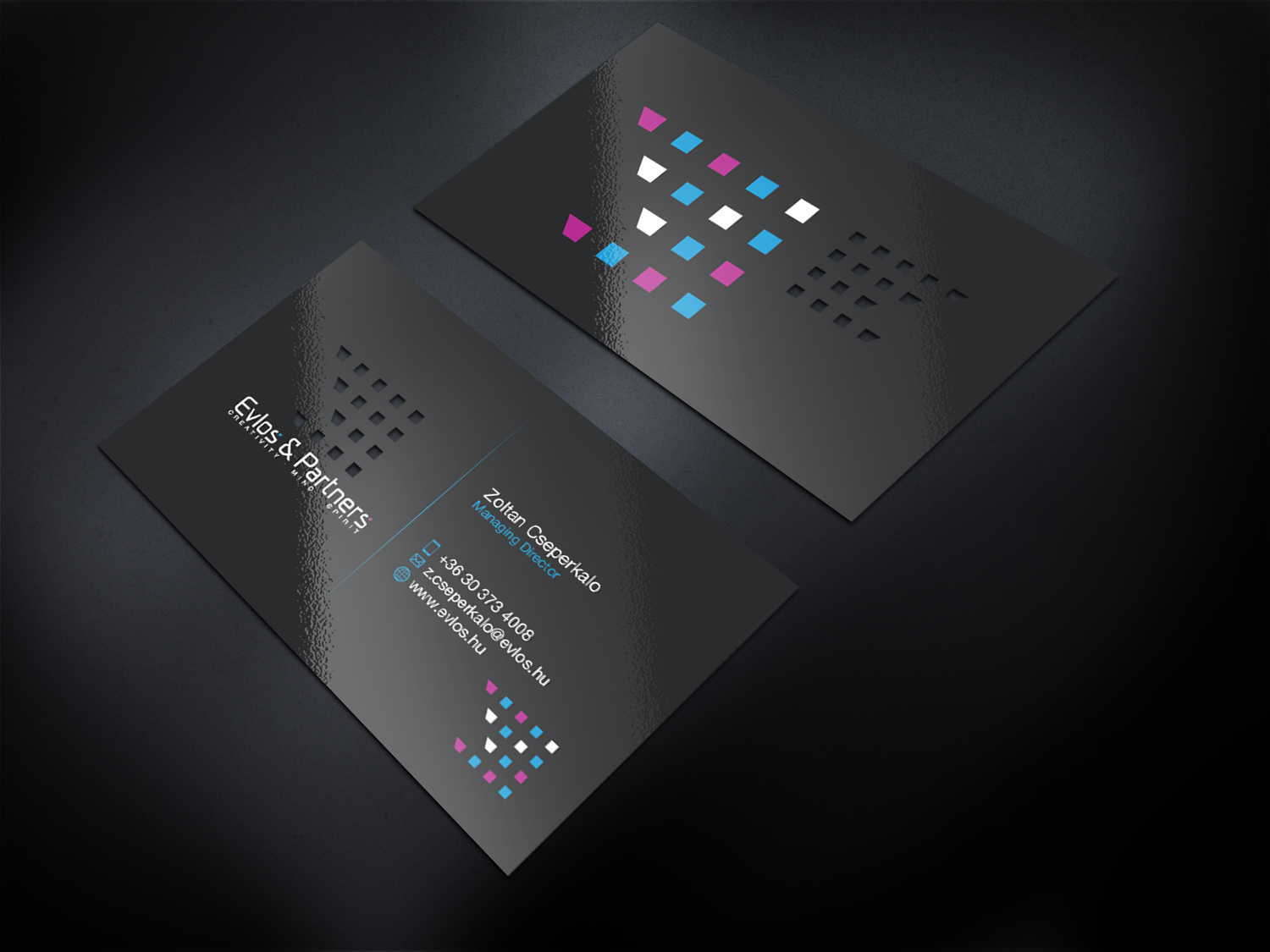 Diseño de Tarjeta de Presentación por Sergio Coelho para Evlos & Partners Ltd. | Diseño #17164365