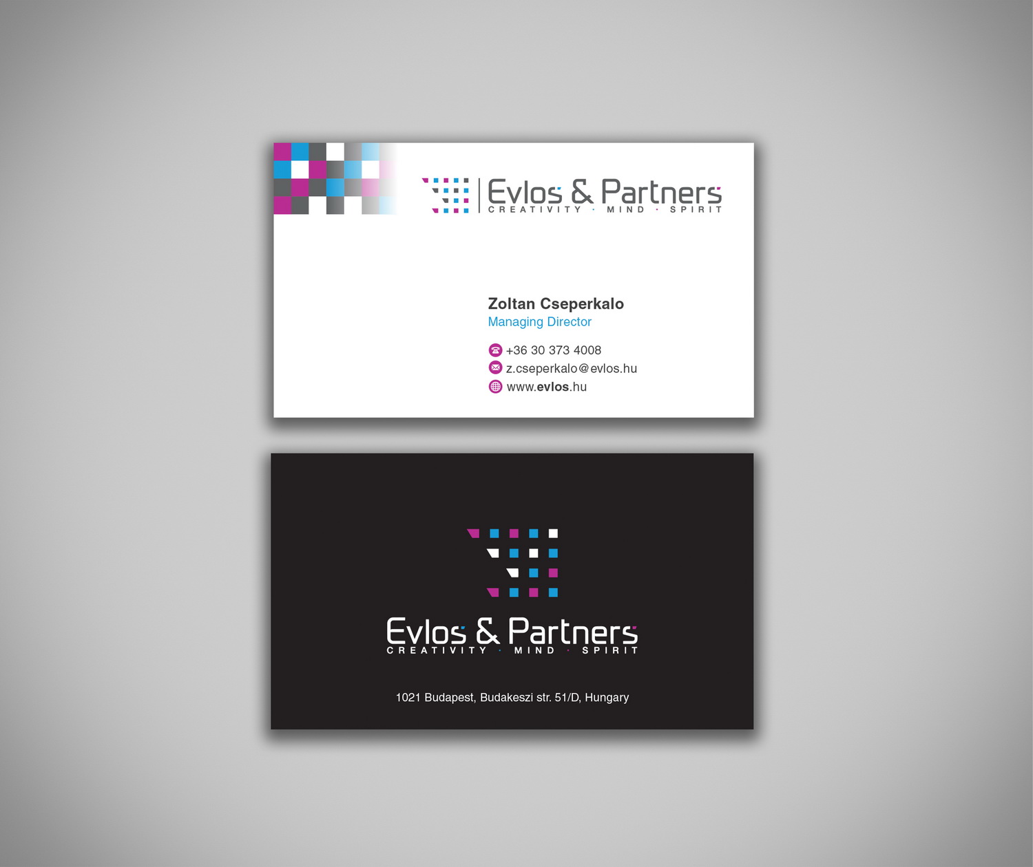 Business Card Design by cini.angela87 for Evlos & Partners Ltd. | Design #17167091