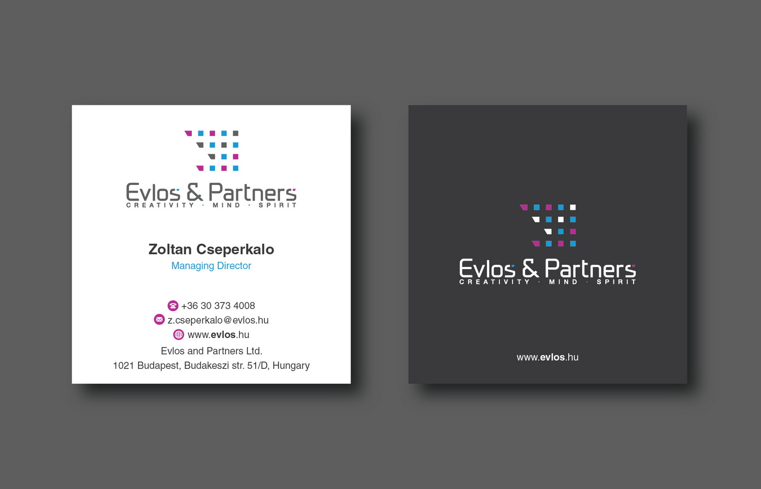 Design de Carte de Visite par cini.angela87 pour Evlos & Partners Ltd. | Design #17167093
