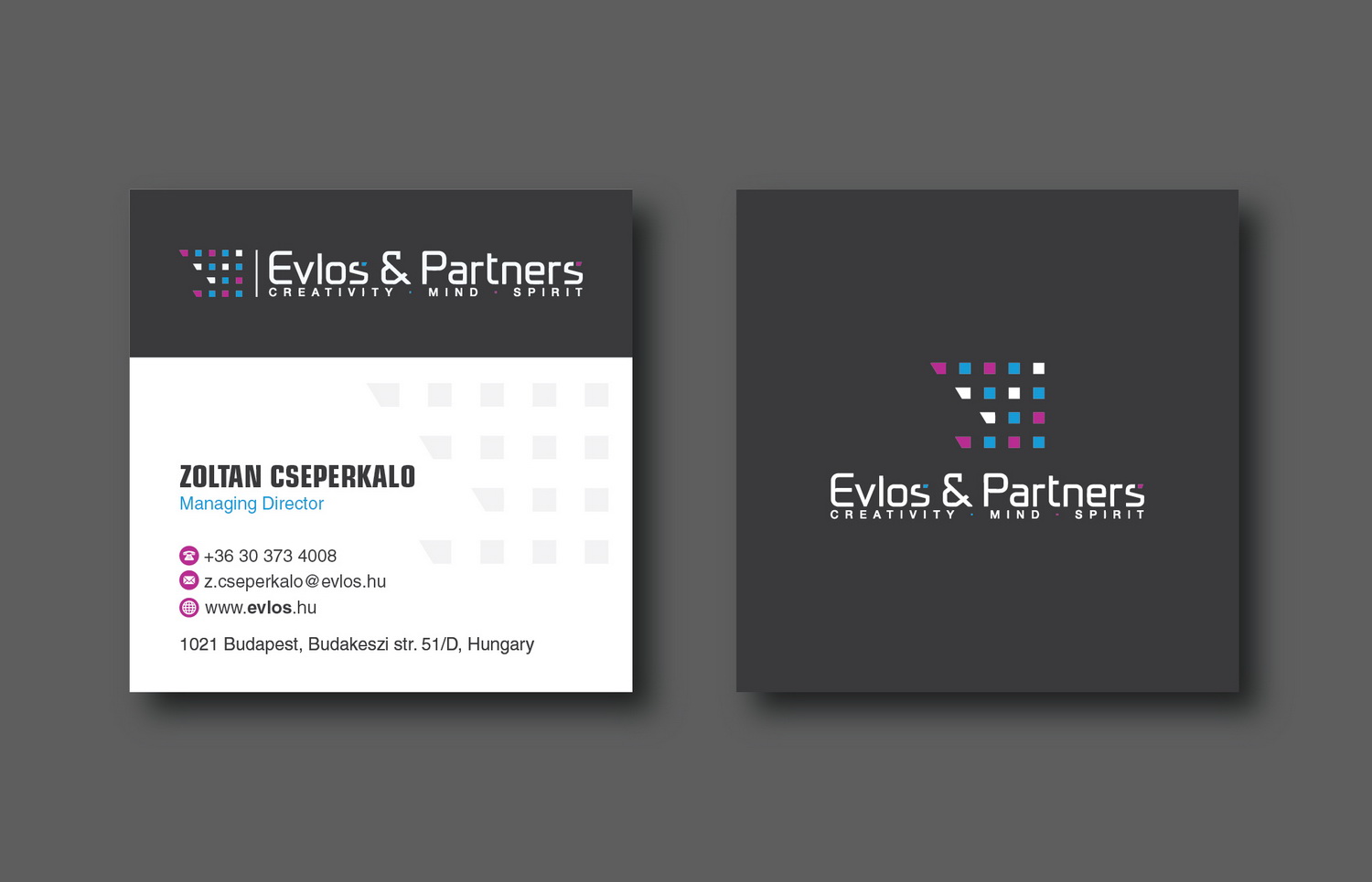 Business Card Design by cini.angela87 for Evlos & Partners Ltd. | Design #17167129