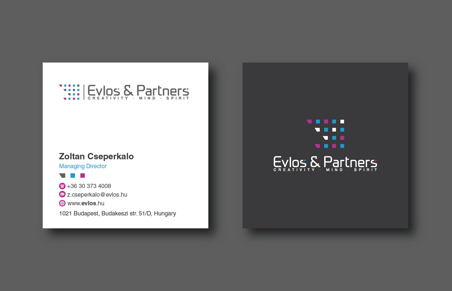 Business Card Design by cini.angela87 for Evlos & Partners Ltd. | Design #17167133