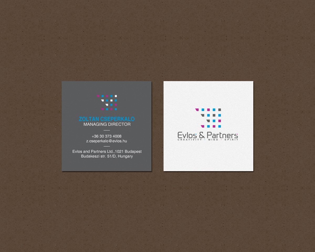 Business Card Design by chandrayaan.creative for Evlos & Partners Ltd. | Design #17122515
