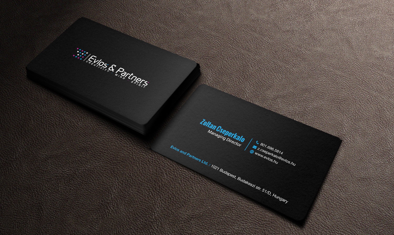 Business Card Design by mdreyad for Evlos & Partners Ltd. | Design #17133875